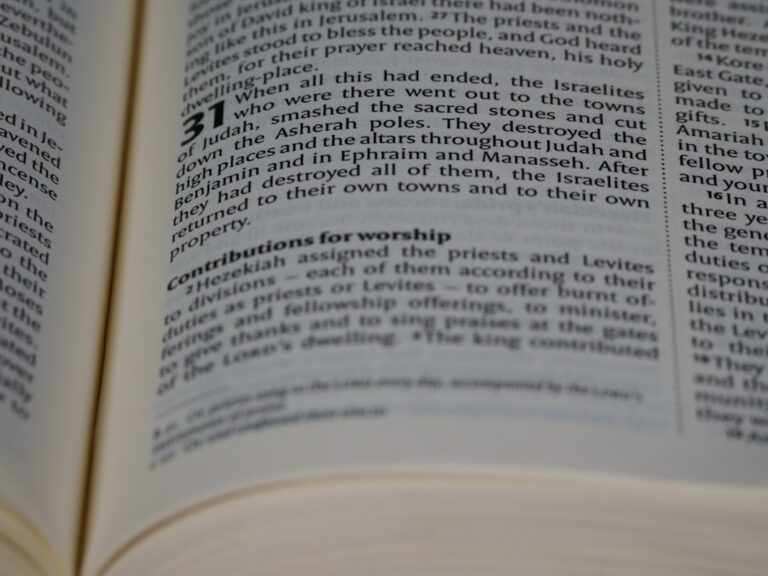 Nietypowe zawody rzemieślnicze: Ciekawe ścieżki zawodowe 2 Photo Nietypowe zawody rzemieślnicze Keyword: "Nietypowe zawody rzemieślnicze"