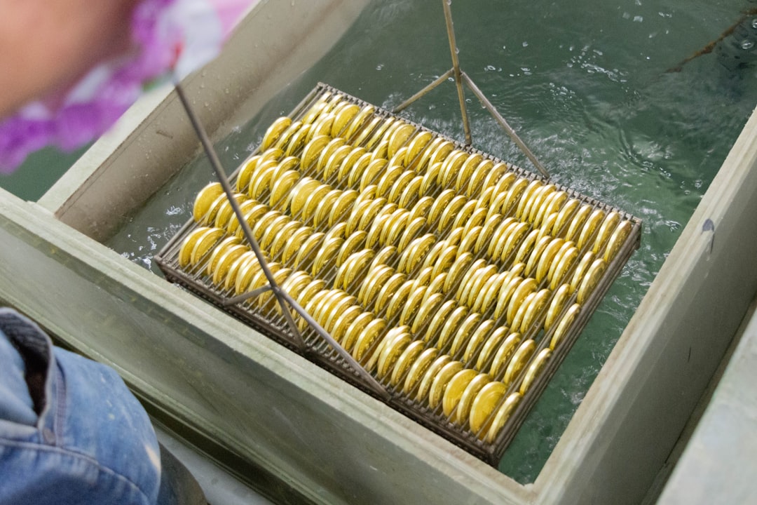 Photo food preservation techniques